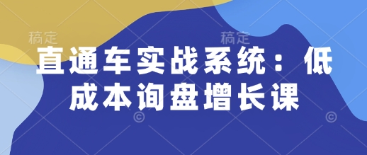 直通车实战系统：低成本询盘增长课，让个人通过技能实现升职加薪，让企业低成本获客，订单源源不断-8U创业网